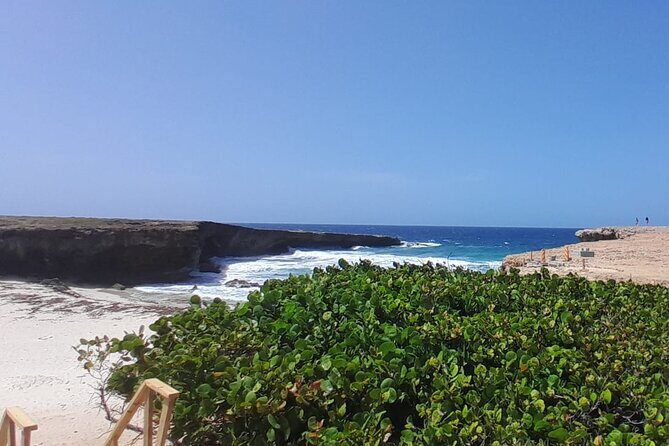 Private Tour - Rock formations and Turtle Viewing - Who Would Love This Tour?