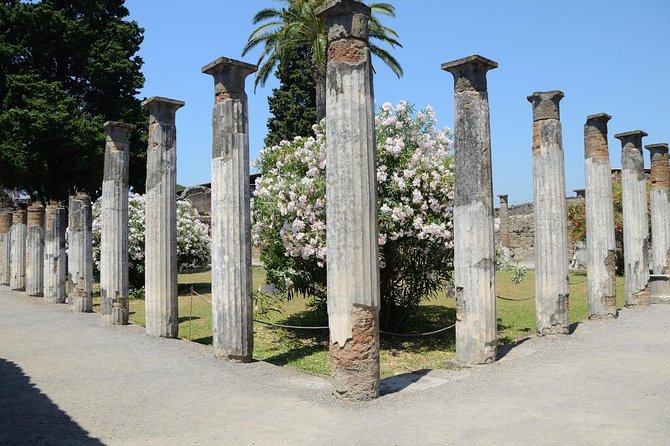 Private Tour Rome to Pompeii in Private Vehicle or Fast Train - Frequently Asked Questions