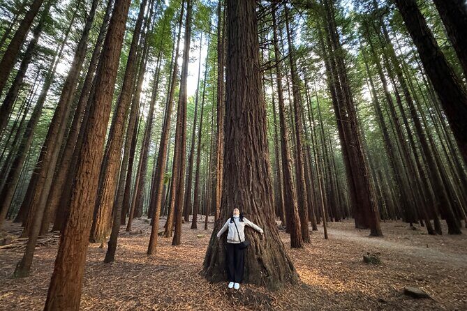 Private Tour: Rotorua Adventure, Kiwi Hatchery & Mori Culture - An In-Depth Look at the Rotorua Private Tour