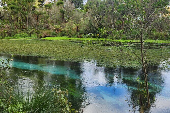 Private Tour Rotorua + Blue springs + WaiOtapu + Redwood forest - Why Choose This Tour?