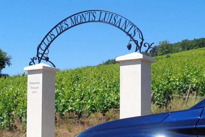 Private Tour Route Des Grands Crus in Burgundy - Tour Highlights