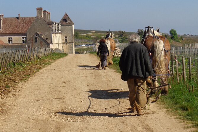 Private Tour Route Des Grands Crus in Burgundy - Common Questions