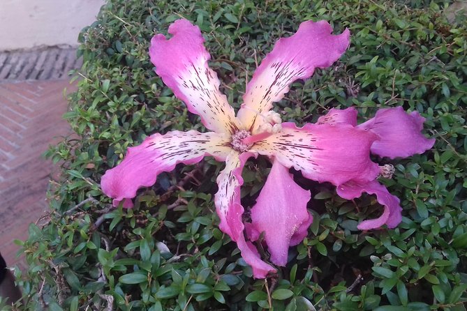 Private Tour Royal Palacecathedralold Jewish Neighbourhood - Inclusions and Costs