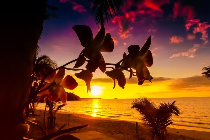 Private Tour Saint Lucia Street Party - Who Should Consider This Tour?