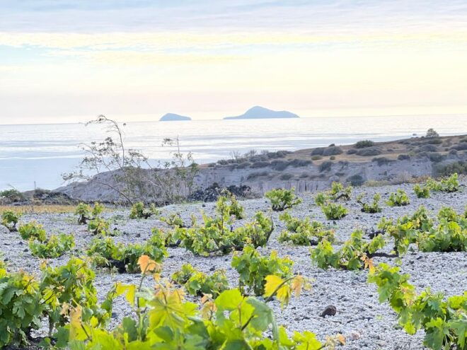 Private Tour - Santorini Sightseeing Day Tour - Tour Experience