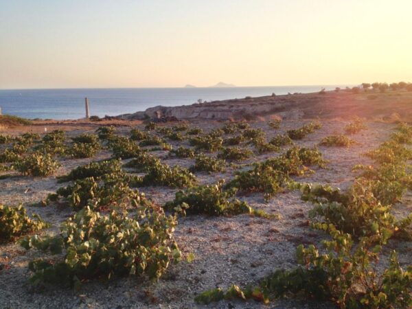 Private Tour - Santorini Sightseeing Day Tour - Frequently Asked Questions