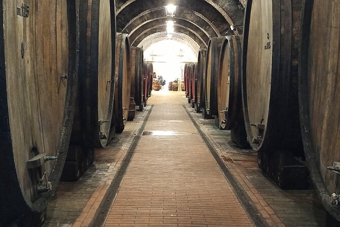 PRIVATE TOUR Savor Exquisite Wines: Brunello & Nobile Wine Tour - Additional Info and Price