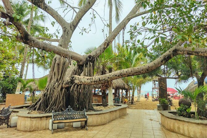 Private Tour, Sayulita & San Pancho - Exploring the Towns: San Pancho & Sayulita