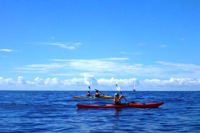 Private Tour: Sea Kayaking & Snorkeling to Green Cave on Sipan Island From Lopud - Schedule
