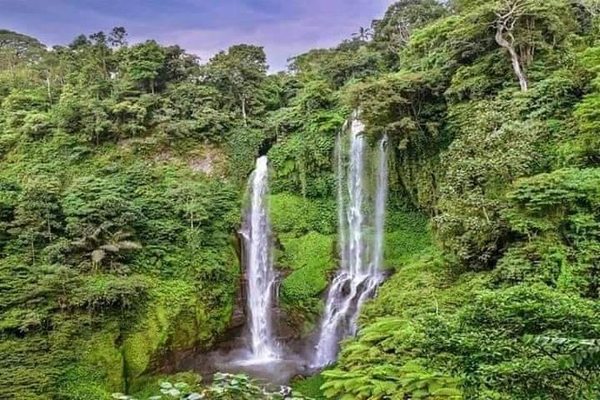 Private Tour Sekumpul Waterfall Combination Beratan Temple & Twin Lakes - Tour Highlights