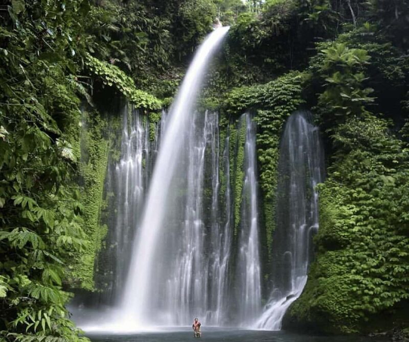 "Private Tour: Sendang Gile, Tiu Kelep Waterfall & Sembalun" - Good To Know