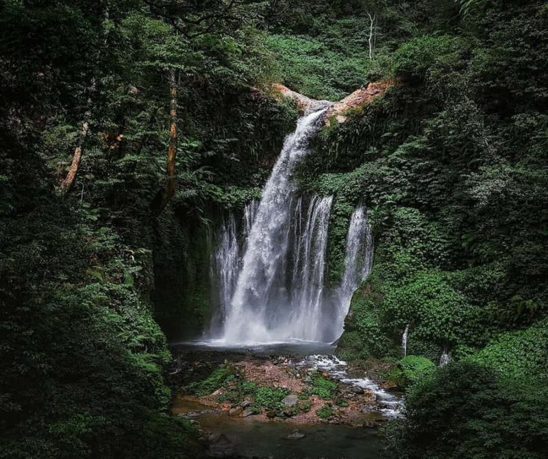"Private Tour: Sendang Gile, Tiu Kelep Waterfall & Sembalun" - Discovering Lombok’s Natural and Cultural Gems