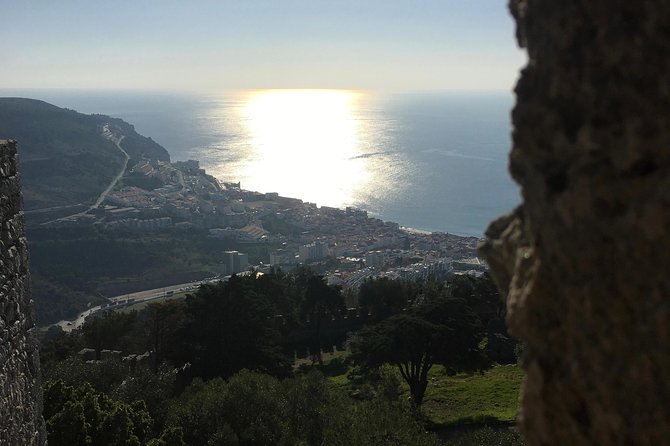 Private Tour Sesimbra | Arrábida | Setúbal | Azeitão - Azeitão Winery Visit