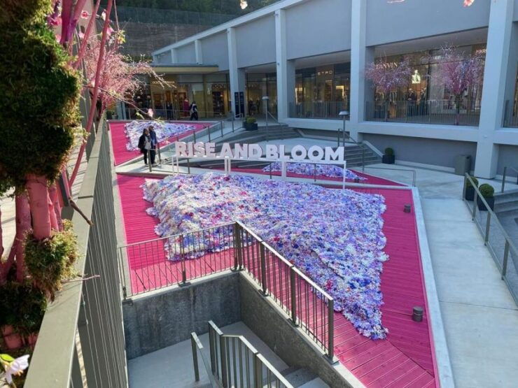 Private Tour Shopping in the MALL From Versilia - Good To Know