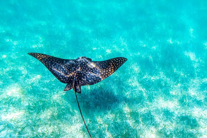 Private Tour - Sian Kaan Adventure - Tour Overview