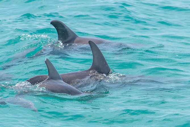 Private Tour - Sian Kaan Adventure - Group 1