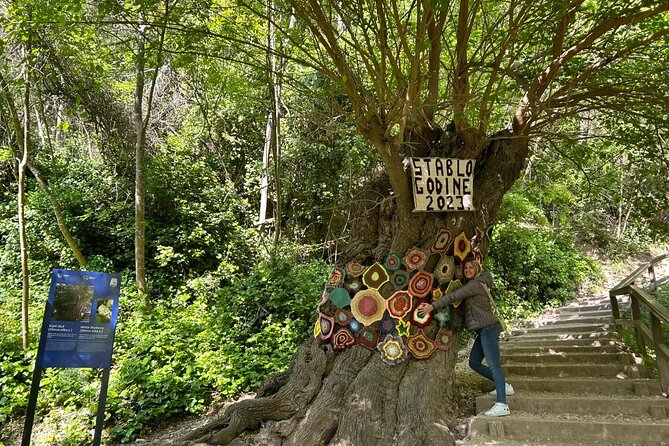 Private Tour ŠIbenik, Krka Waterfalls & Wine Tasting - Frequently Asked Questions