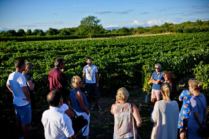 Private Tour ŠIbenik, Krka Waterfalls & Wine Tasting - The Sum Up