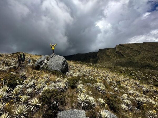 Private Tour, Siecha Lakes on Chingaza's Paramo From Bogota - Experience