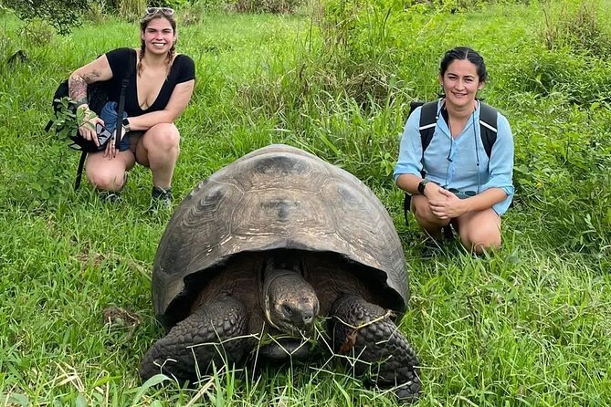 Private Tour Sighting Giant Tortoises and Lava Tunnels - Meeting Point Details