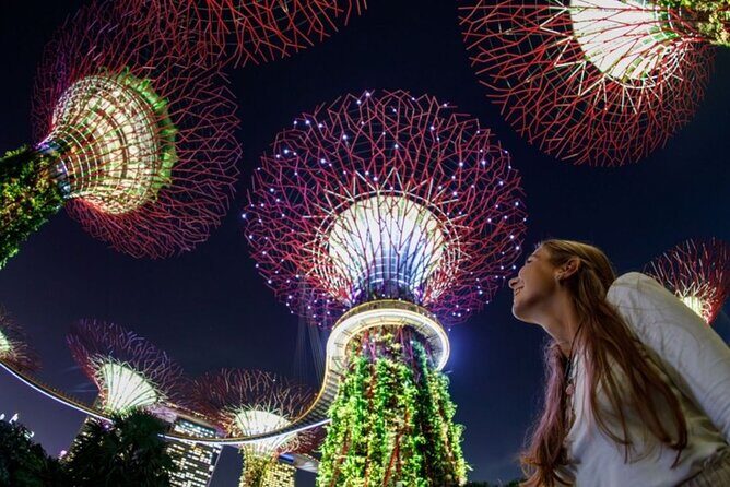 Private Tour: Singapore River Cruise & 2 Top-visit Light shows - Practical Details & Value Considerations
