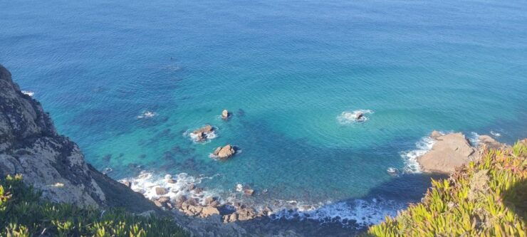 Private Tour Sintra and Cascais - Tour Cancellation Policy