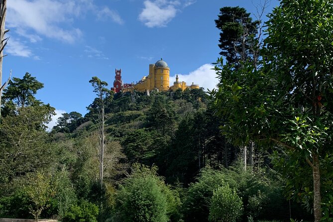 Private Tour, Sintra With Pena Palace and Quinta Da Regaleira FD - Traveler Photos and Reviews