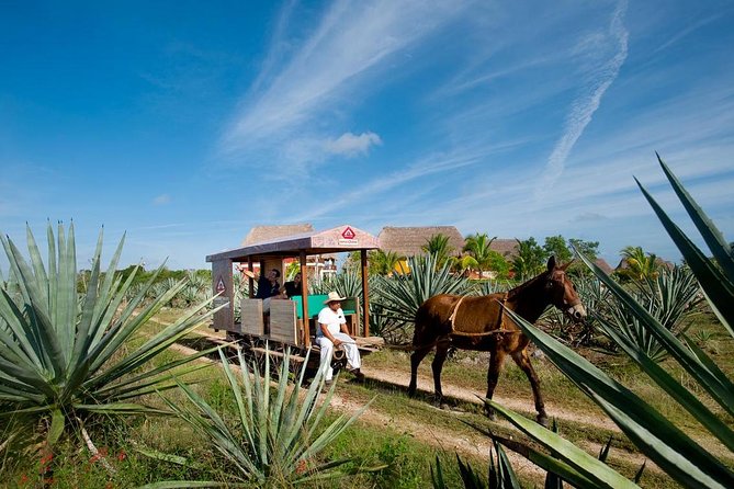 Private Tour: Sotuta De Peon Hacieda Day Trip - Inclusions