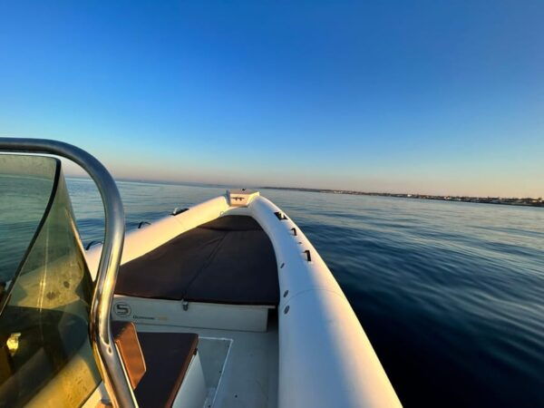Private Tour - South Gulf of Noto From Avola to Capopassero - Customer Reviews and Testimonials