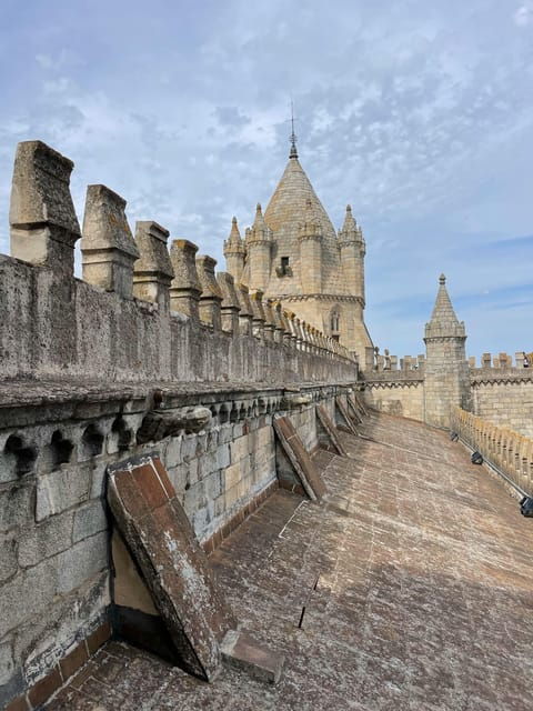 Private Tour: Spent a Day in Evora, the Heart of Alentejo - Driver and Vehicle Experience