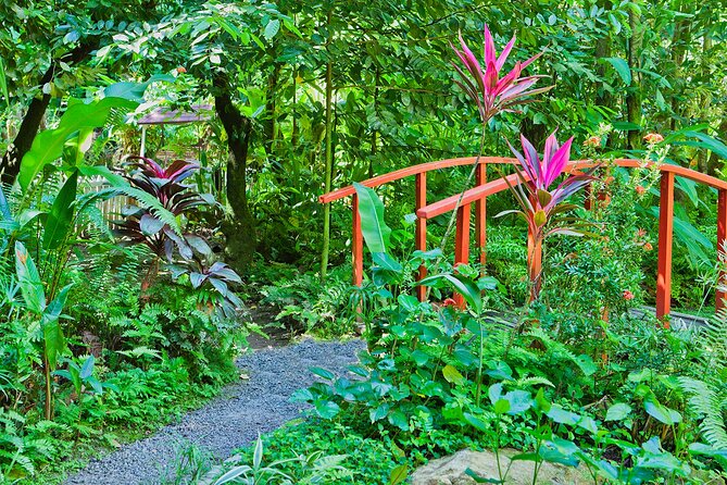 Private Tour St. Lucia Botanical Gardens and Waterfall - Tour Itinerary