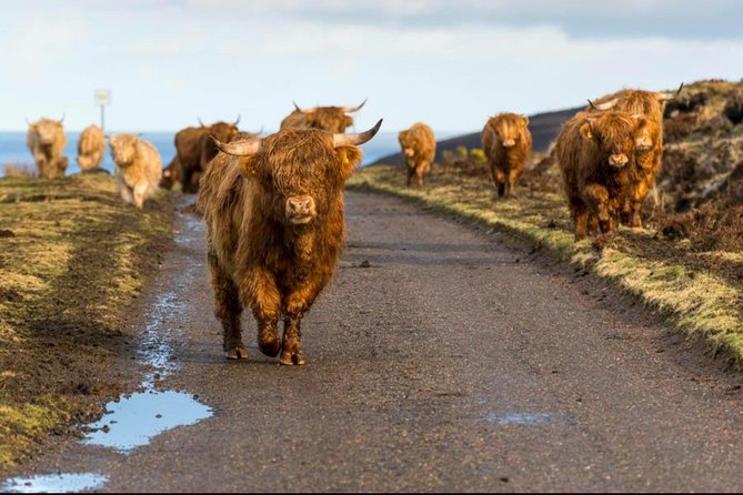 Private Tour Stirling Castle Whiskey Distillery - Booking and Cancellation Policy