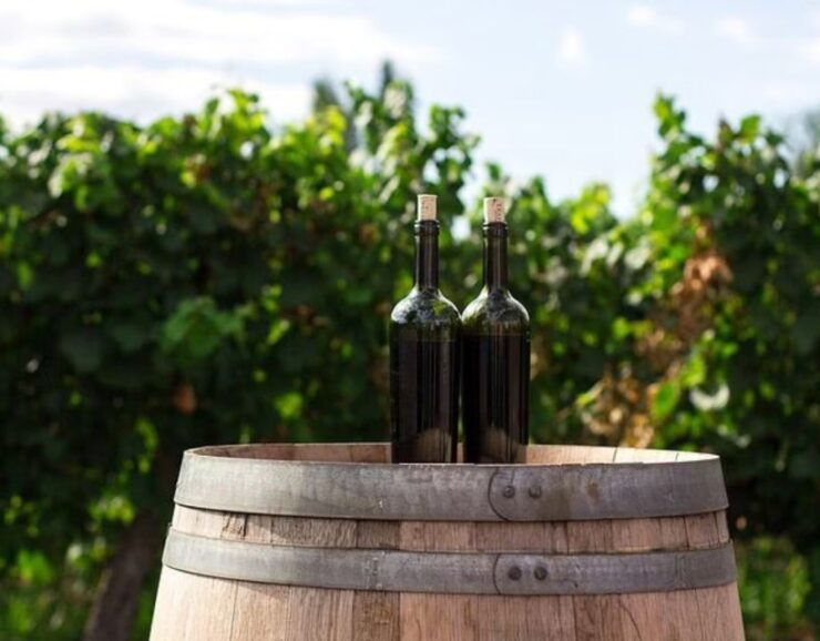 Private Tour: Ston and Peljesac Wine Tasting With Lunch From - Tour Booking Details