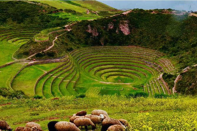 Private Tour Super Sacred Valley Chinchero Maras Moray Ollantaytambo - Included Lunch
