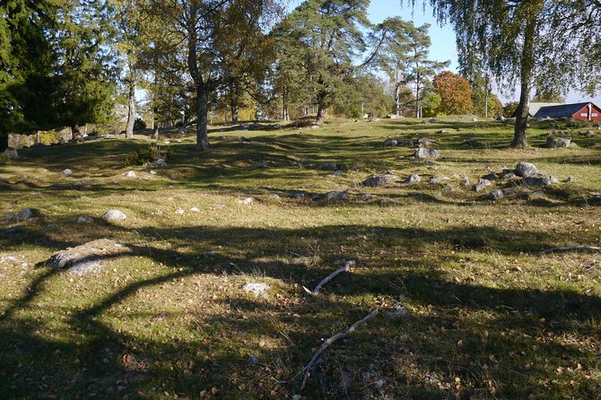 Private Tour: Swedish History Day Trip to World Heritage Candidate Markim-Orkesta From Stockholm - Reviews and Ratings