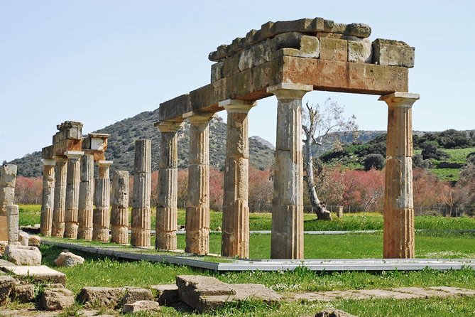 Private Tour & Swimming Vravrona From Athens - Cancellation Policy