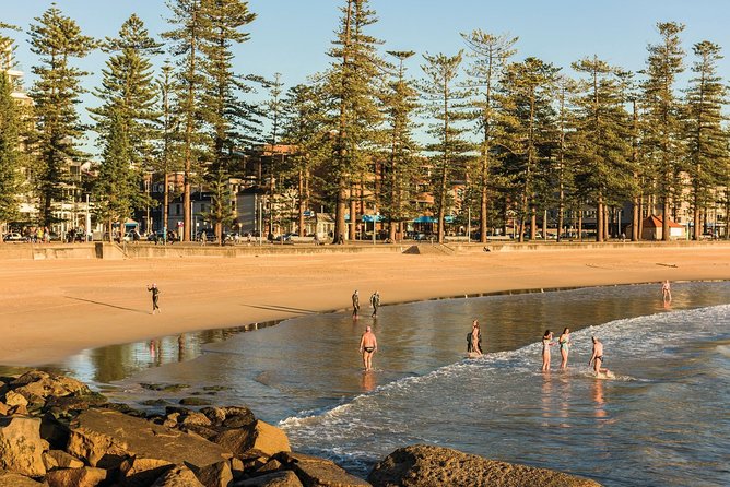 Private Tour: Sydney City Highlights & Hidden Gems - Common Questions