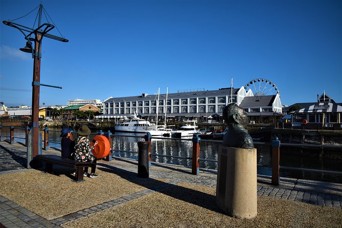 Private Tour : Table Mountain and Penguins With Cape of Good Hope - Tour Highlights