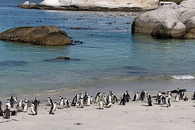 Private Tour: Table Mountain Boulders Beach Penguin Cape Point - Pricing and Reservation Details