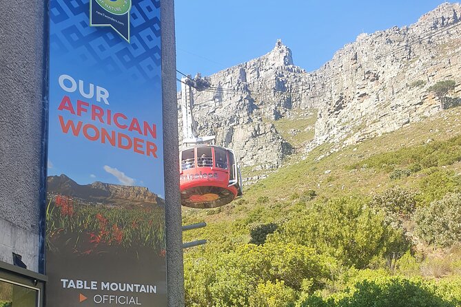 Private Tour: Table Mountain Boulders Beach Penguin Cape Point - Reviews and Ratings