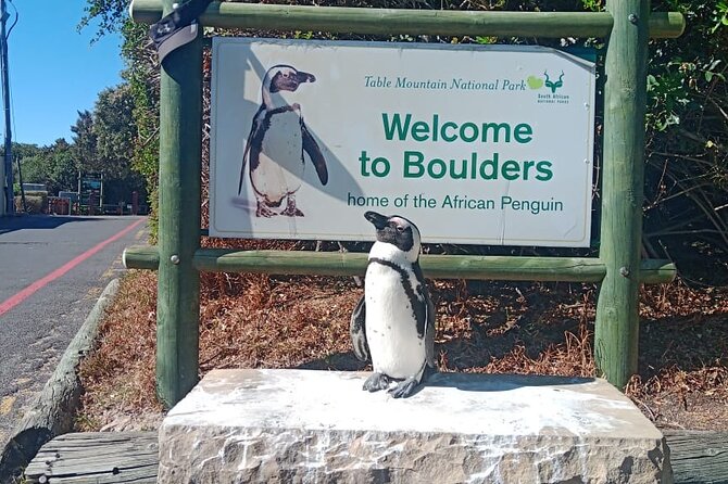 Private Tour: Table Mountain Boulders Beach Penguin Cape Point - Common Questions
