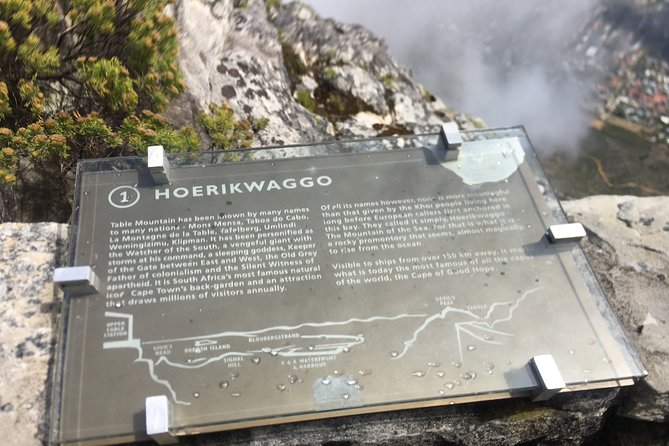 Private Tour: Table Mountain, Penguin Colony & Cape of Good Hope Incl. Park Fees - Traveler Photos