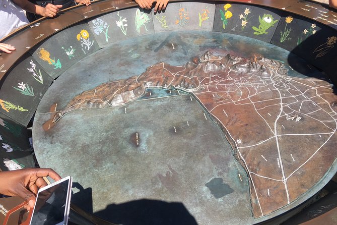 Private Tour: Table Mountain, Penguin Colony & Cape of Good Hope Incl. Park Fees - Reviews