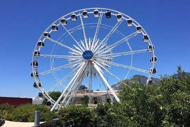 Private Tour Table Mountain Robben Island Two Oceans Aquarium - Customer Reviews and Ratings