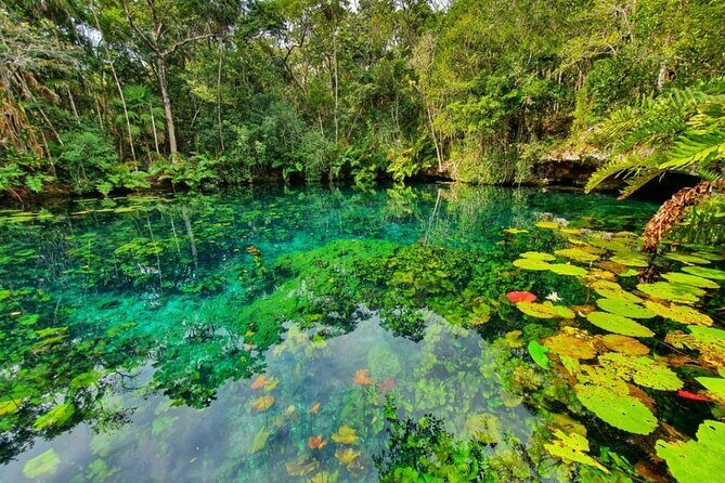 Private Tour Tankah 3 Zip Lines 3 Cenotes Canoe Snorkel Community - What to Expect: The Practical Details