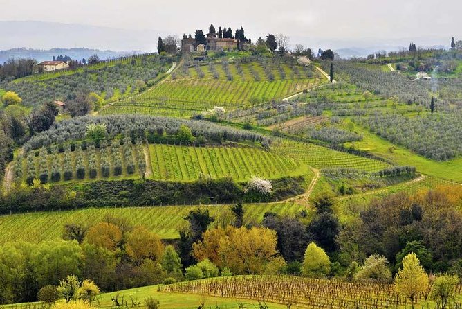 Private Tour Tastes of Tuscany: Pisa, Siena, San Gimignano and Chianti - Itinerary Overview
