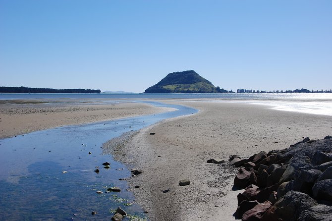 Private Tour Tauranga Highlights Shore Excursion up to 8 Passengers - Overview