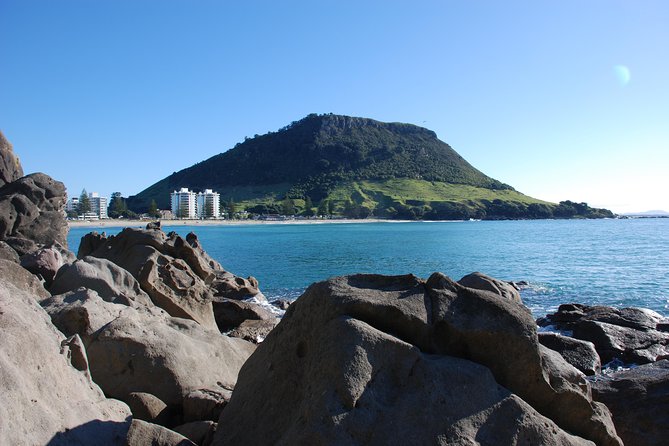 Private Tour Tauranga Highlights Shore Excursion up to 8 Passengers - Included Activities