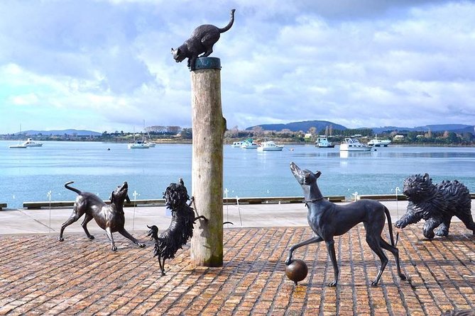 Private Tour Tauranga Highlights Shore Excursion up to 8 Passengers - Directions