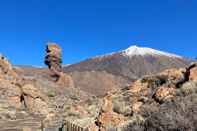 Private Tour Teide National Park Minimun 3 Persons - The Sum Up